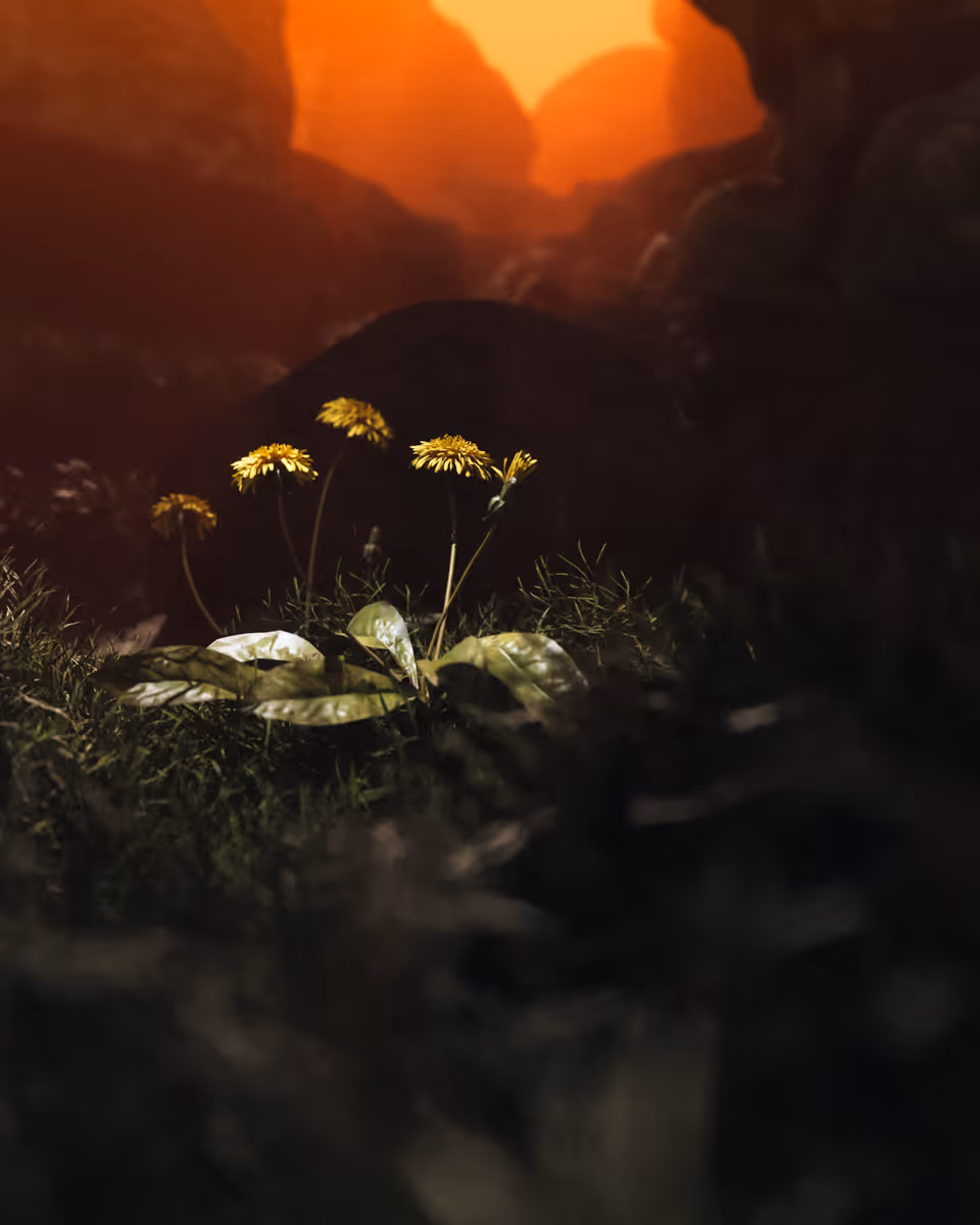 fragment